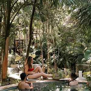 Lodge Anand Ecoaldea Puerto Morelos
